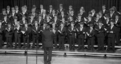 Limburger Domsingknaben